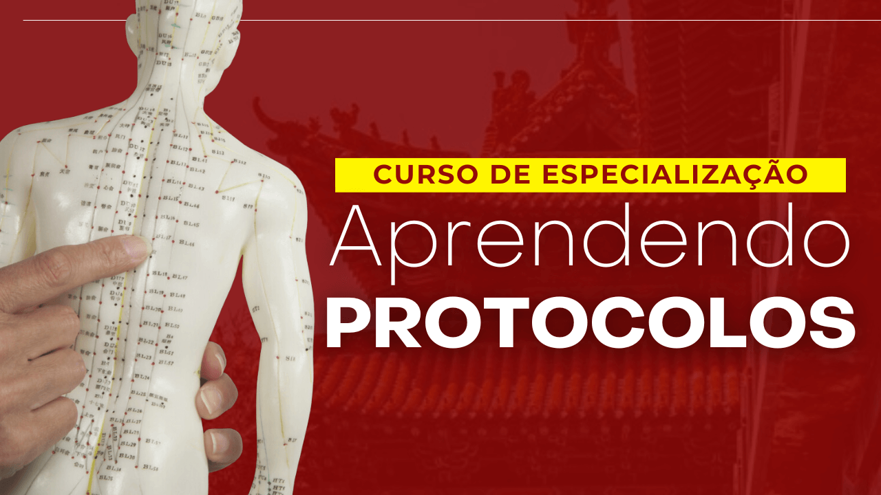 aprendendo protocolo capa (1)